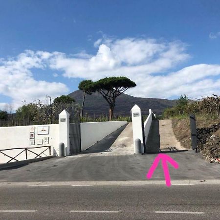 Pietramiliare Daire Trecase Dış mekan fotoğraf