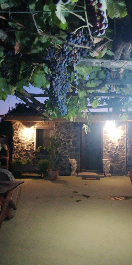 Pietramiliare Daire Trecase Dış mekan fotoğraf