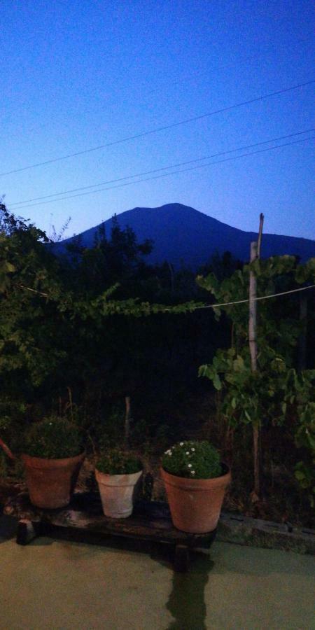 Pietramiliare Daire Trecase Dış mekan fotoğraf